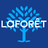 Laforêt DOMBASLE SUR MEURTHE