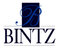 Bintz Immobilier
