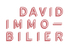 Logo de l'agence DAVID IMMO CUSTINE-RAMEY