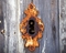 A la Campagne Immobilier