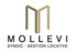Cabinet Mollevi