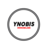 Ynobis Immobilier